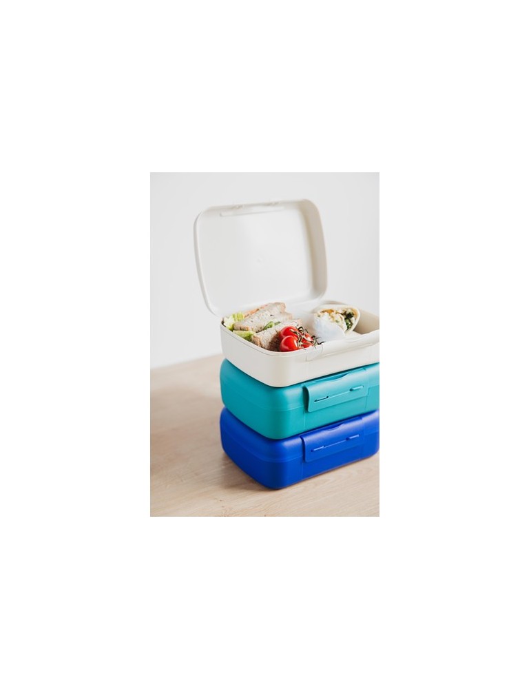 Day to Day Brunchbox 1,4 L