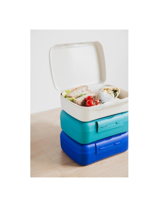 Day to Day Brunchbox 1,4 L