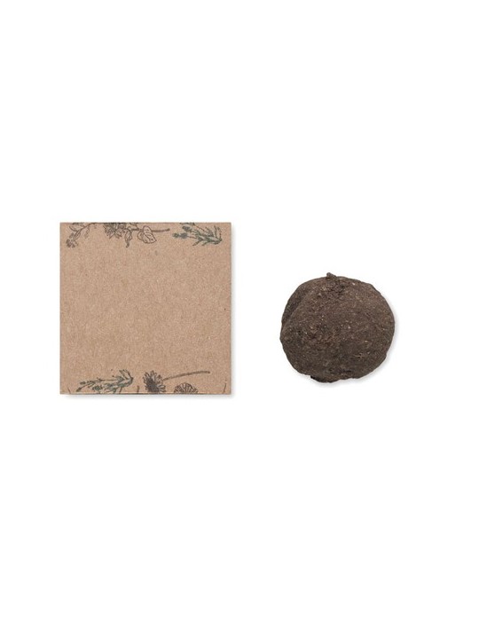 Boule de Graines de Fleurs Sauvages & Pratique - Goodies