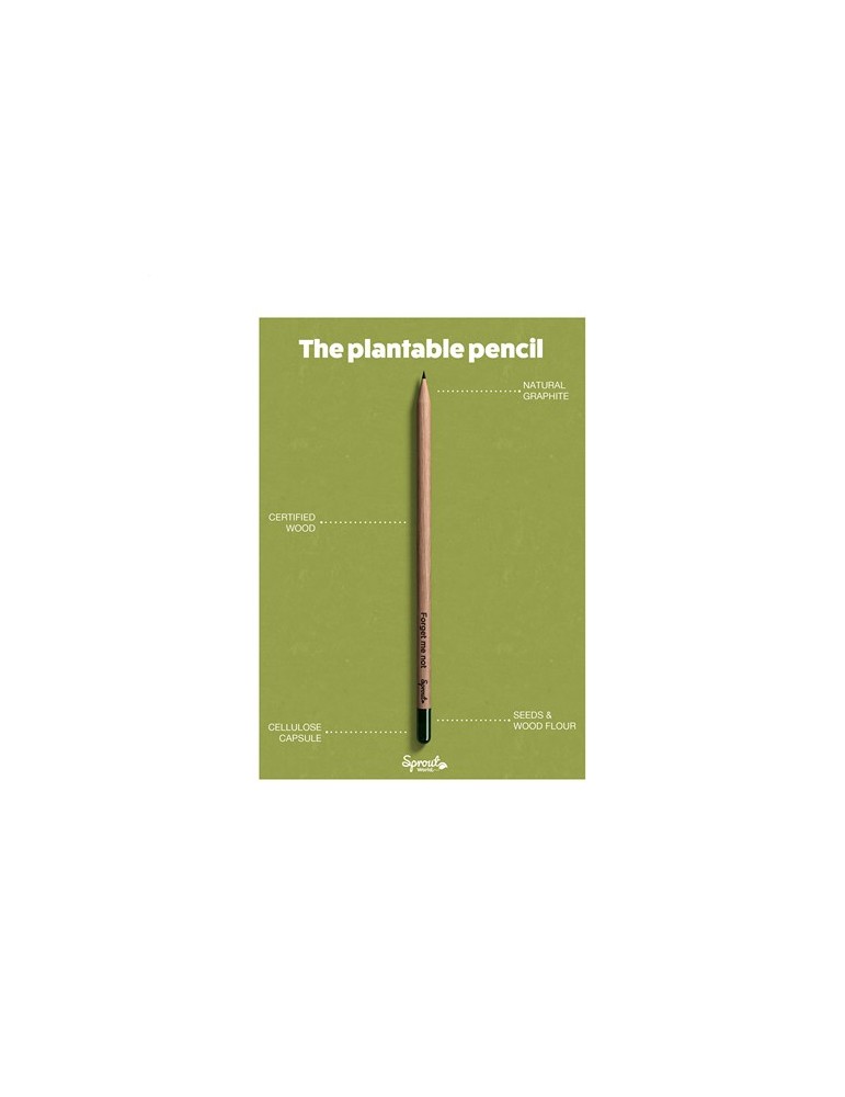 Sproutworld Sharpened Pencil crayon taillé