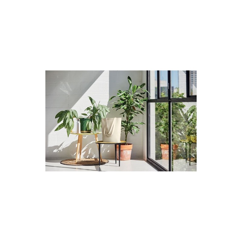 Sac Shopping en Toile RASSA - Élégance et Praticité Personnalisé