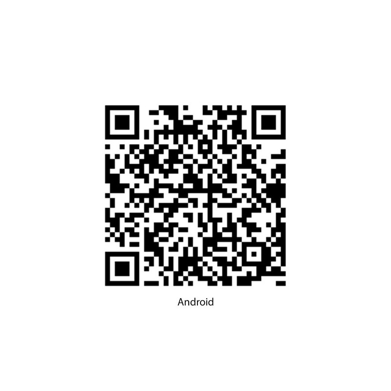 Bracelet Intelligent Wesly - Montre Connectée Sportive