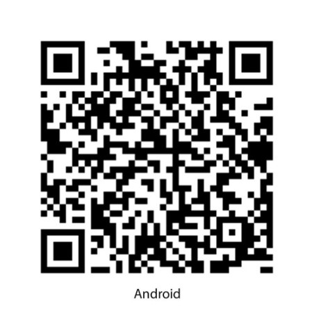 Bracelet Intelligent Wesly - Montre Connectée Sportive