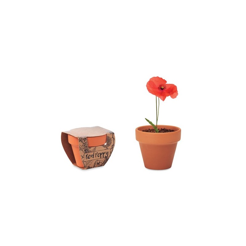 Pot  et pratique de graines de coquelicot RED POPPY Couleurs : bois Matières : terre cuite