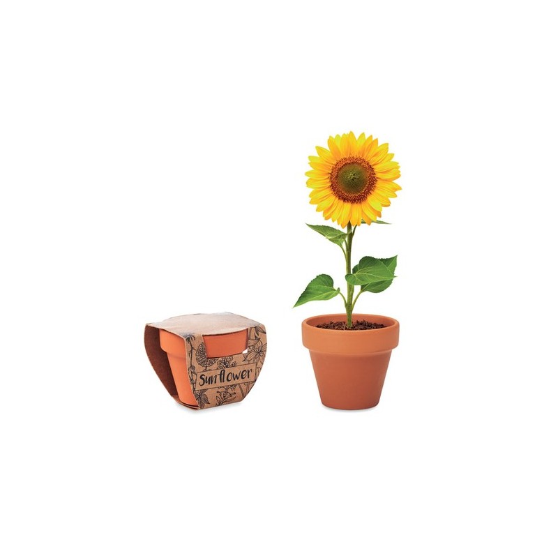 Pot  et personnalisé de graines de tournesol - SUNFLOWER Couleurs : bois Matières : terre cuite