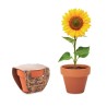 Pot  et personnalisé de graines de tournesol - SUNFLOWER Couleurs : bois Matières : terre cuite