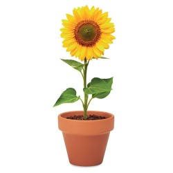 Pot  et personnalisé de graines de tournesol - SUNFLOWER Couleurs : bois Matières : terre cuite impression haute définition