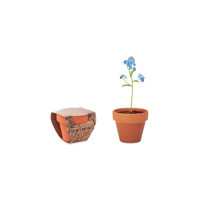 Pot  et personnalisé de graines de myosotis - FORGET ME NOT Couleurs : bois Matières : terre cuite