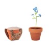 Pot  et personnalisé de graines de myosotis - FORGET ME NOT Couleurs : bois Matières : terre cuite
