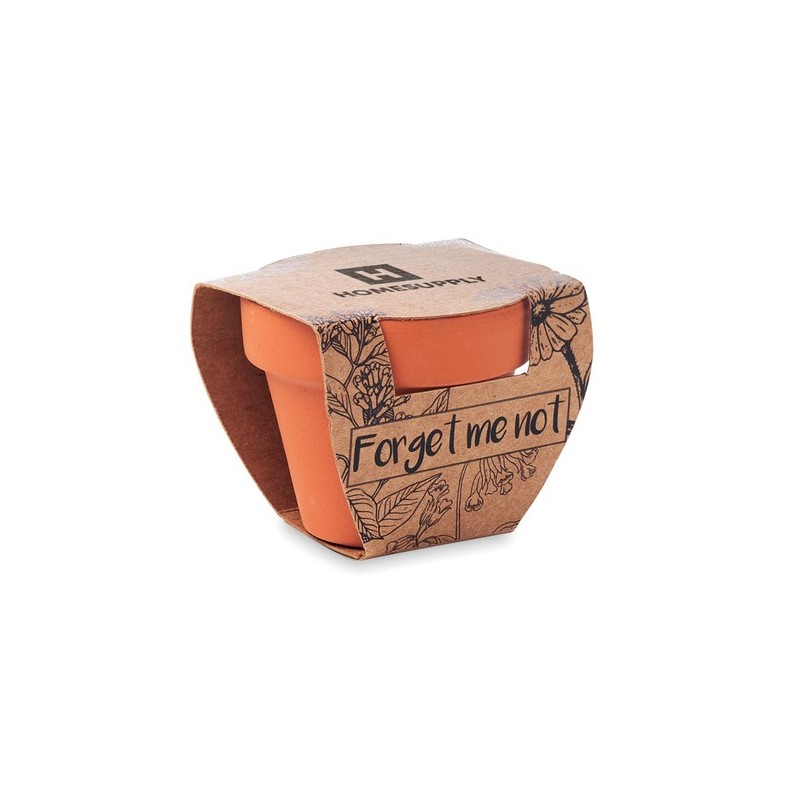 Pot graines de myosotis Forget Me Not