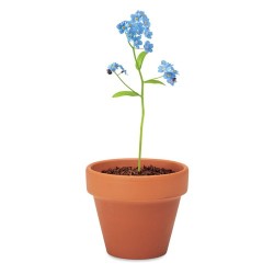Pot  et personnalisé de graines de myosotis - FORGET ME NOT Couleurs : bois Matières : terre cuite impression haute définition