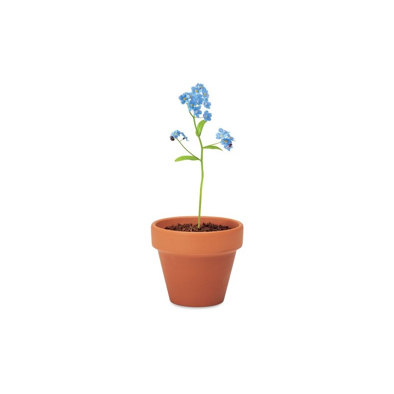 Pot  et personnalisé de graines de myosotis - FORGET ME NOT Couleurs : bois Matières : terre cuite impression haute définition