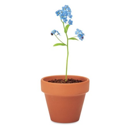 Pot  et personnalisé de graines de myosotis - FORGET ME NOT Couleurs : bois Matières : terre cuite impression haute définition