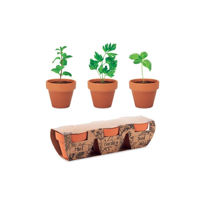 Pots s en terre cuite pour herbes - FLOWERPOT (3 unités) Couleurs : bois Matières : terre cuite