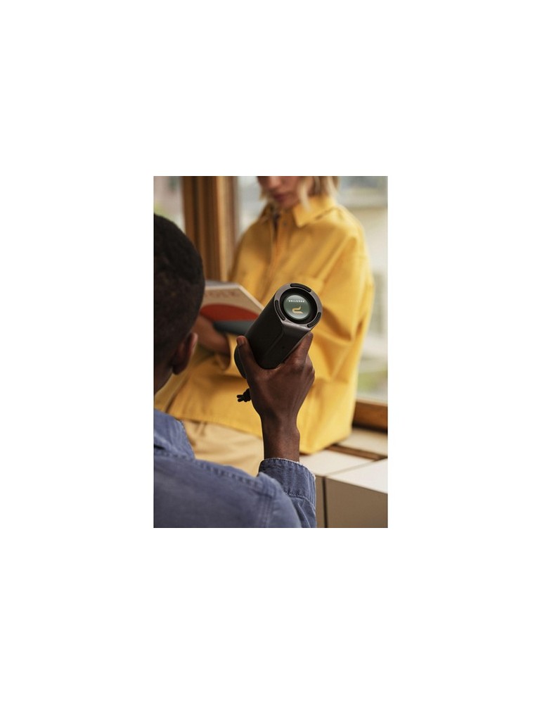 Sudio Bluetooth Speaker F4