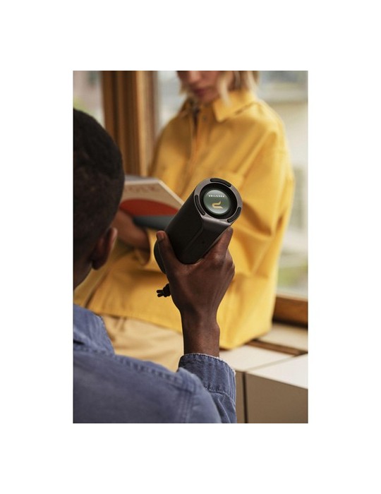 Sudio Bluetooth Speaker F4