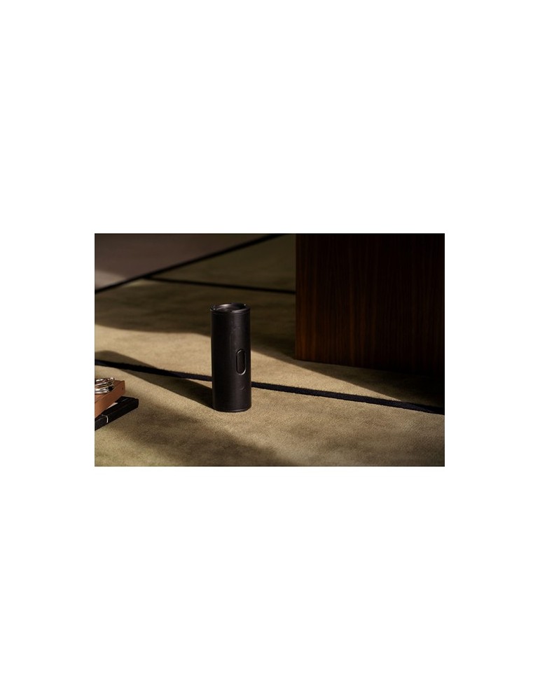 Sudio Bluetooth Speaker F4