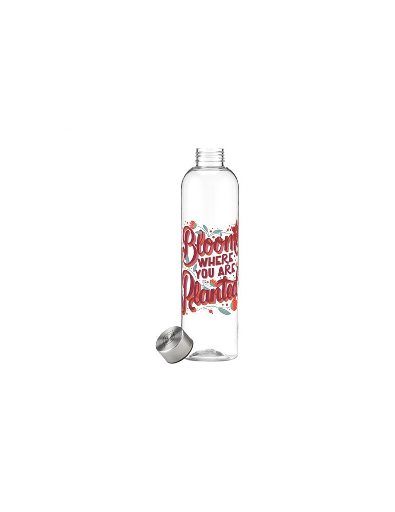Nolin Bottle 1 L bouteille