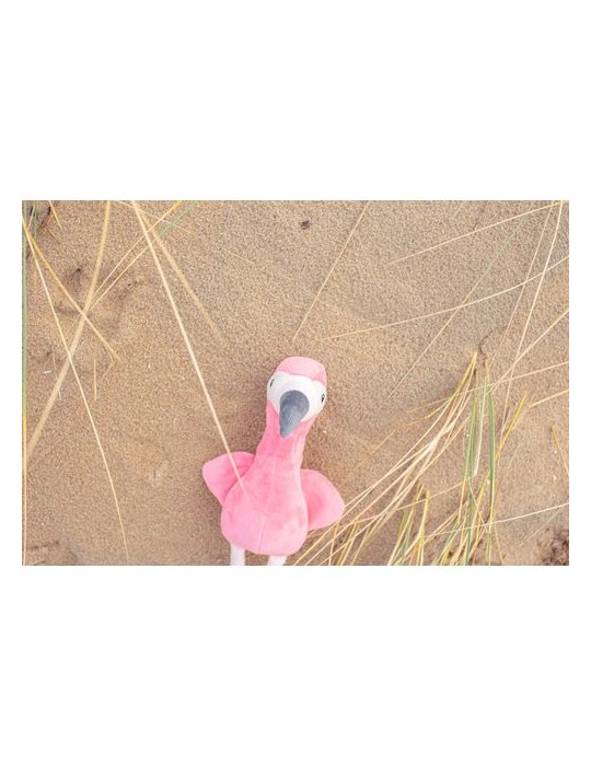 Peluche Flamant Rose Unique - Alicia Idée Cadeau Personnalisée pas cher