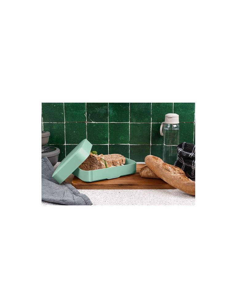 Amuse Classic Lunchbox Large