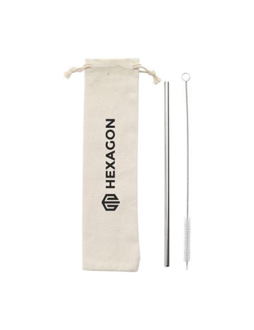 Reusable 1 piece ECO Straw Set paille acier inoxydable
