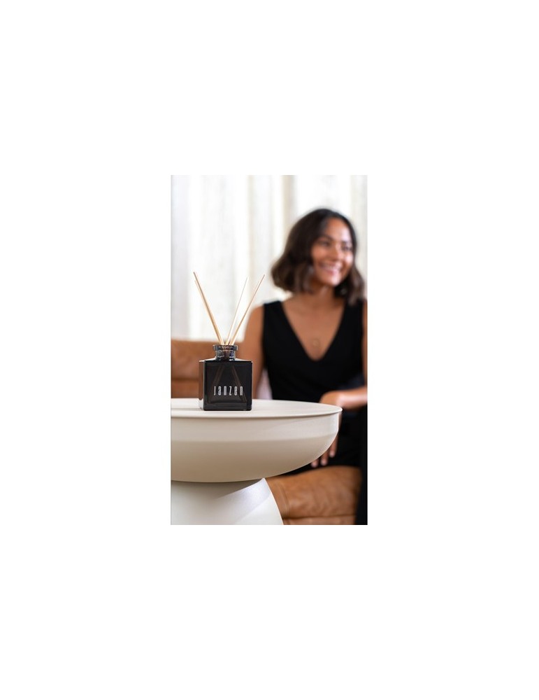 JANZEN Home Fragrance Sticks Skin 90