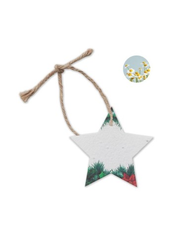 Décoration  personnalisée - Cadeau d'entreprise STARSEED