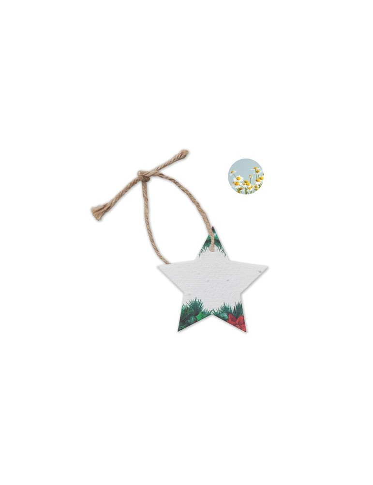 Décoration  personnalisée - Cadeau d'entreprise STARSEED