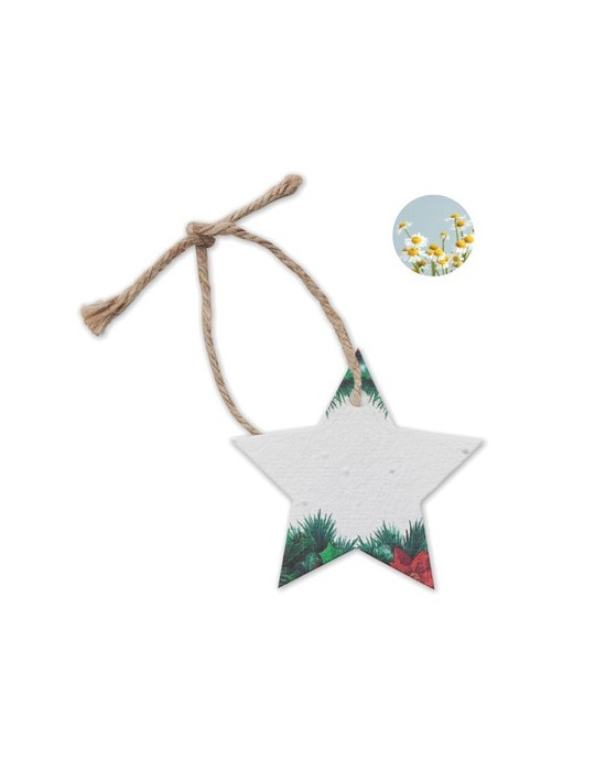 Décoration  personnalisée - Cadeau d'entreprise STARSEED
