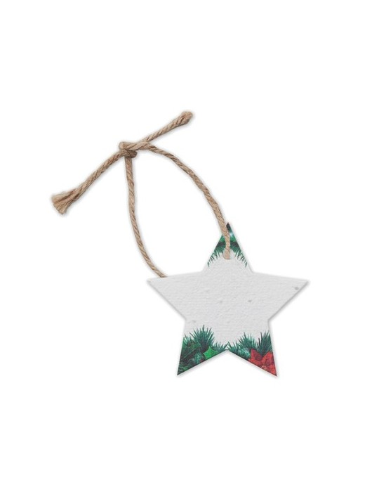 Décoration  personnalisée - Cadeau d'entreprise STARSEED