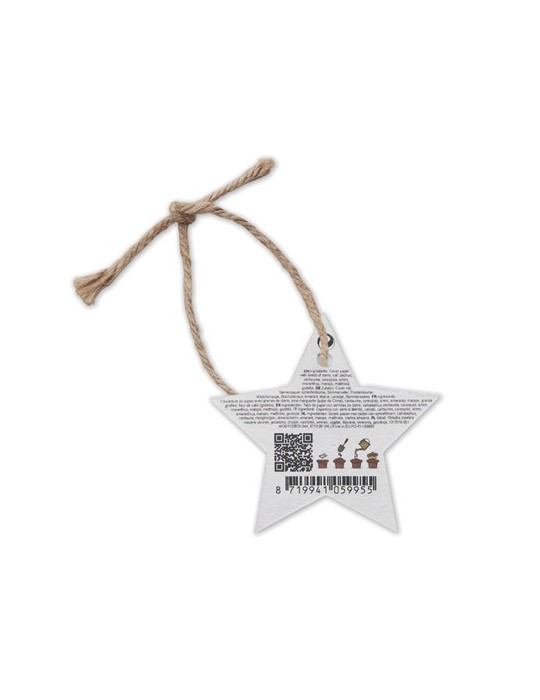 Décoration  personnalisée - Cadeau d'entreprise STARSEED