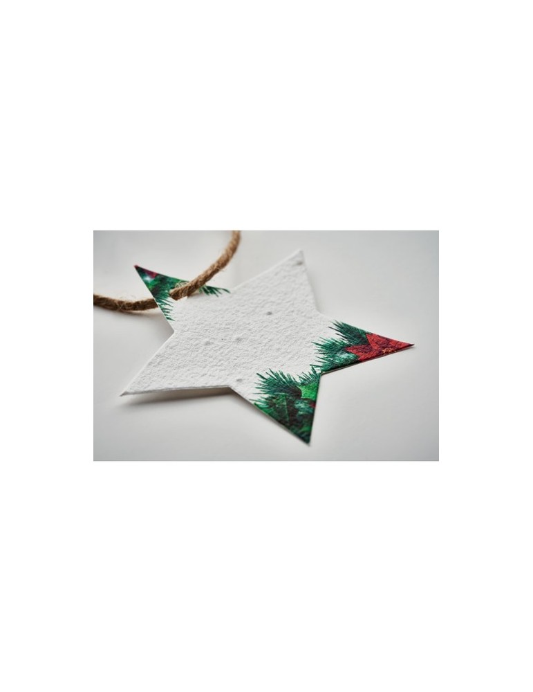 Décoration  personnalisée - Cadeau d'entreprise STARSEED