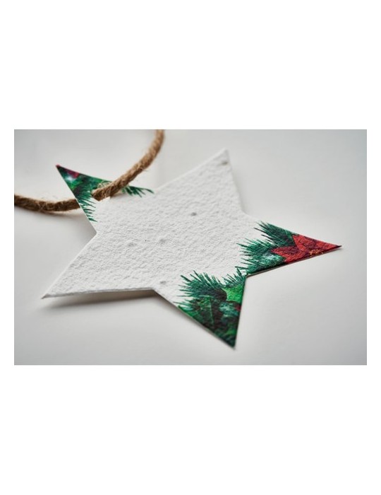 Décoration  personnalisée - Cadeau d'entreprise STARSEED