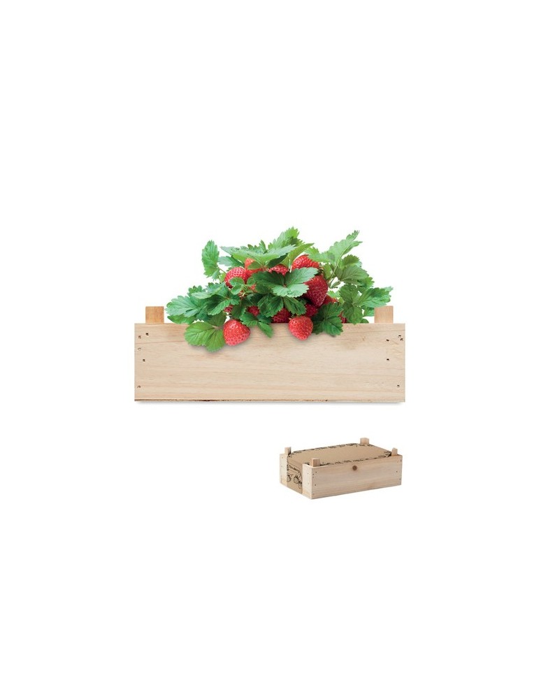 Kit de Culture de Fraises | Objets Publicitaires