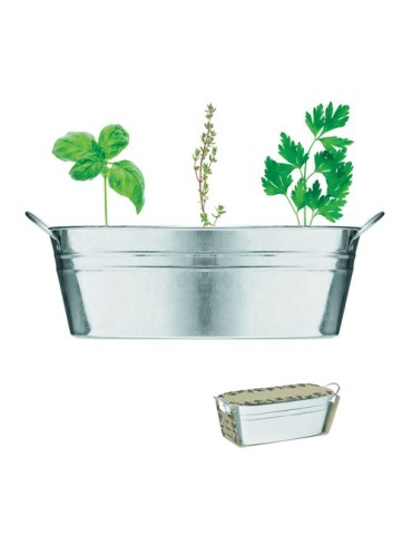 Bac en zinc avec herbes aromatiques - personnalisée pas cher
