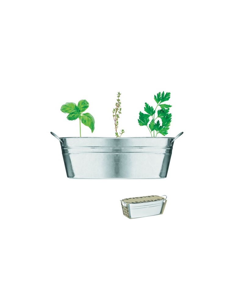 Bac en zinc avec herbes aromatiques - personnalisée pas cher