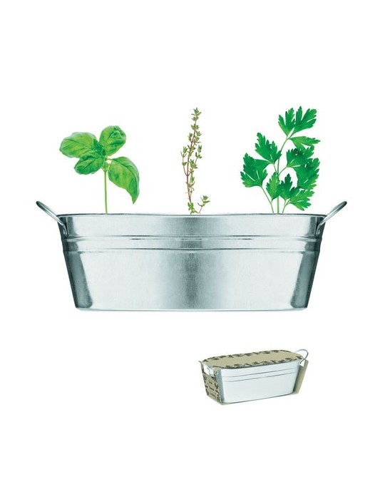 Bac en zinc avec herbes aromatiques - personnalisée pas cher