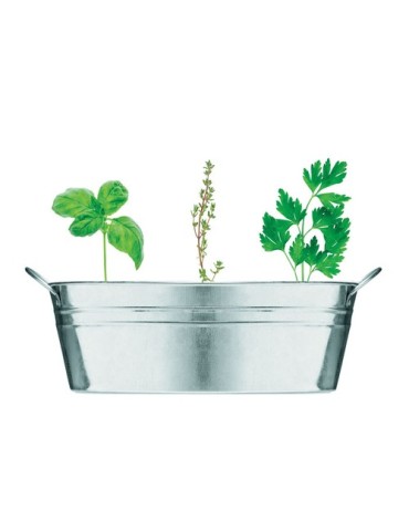 Bac en zinc avec herbes aromatiques - personnalisée pas cher 2