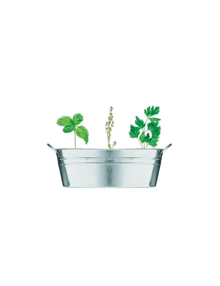 Bac en zinc avec herbes aromatiques - personnalisée pas cher