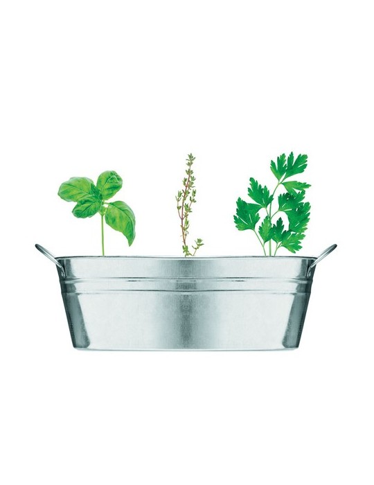 Bac en zinc avec herbes aromatiques - personnalisée pas cher