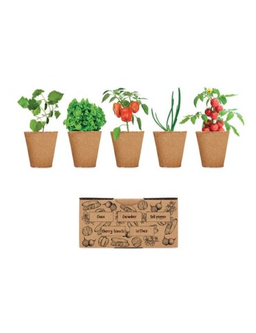 Kit de culture de salade personnalisé pas cher - Graines & terreau inclus