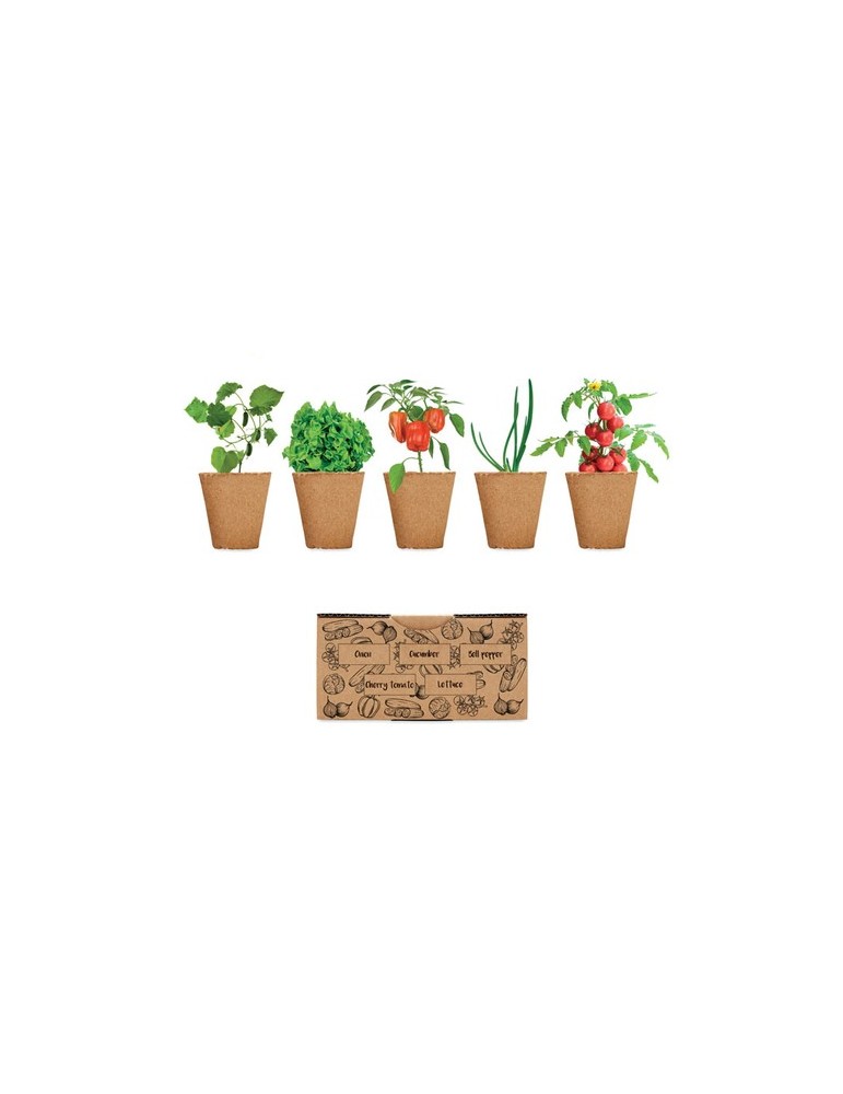 Kit de culture de salade personnalisé pas cher - Graines & terreau inclus