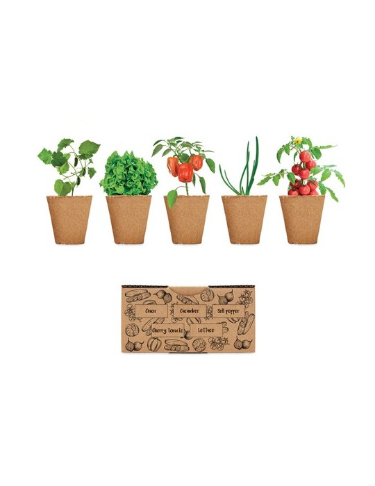 Kit de culture de salade personnalisé pas cher - Graines & terreau inclus