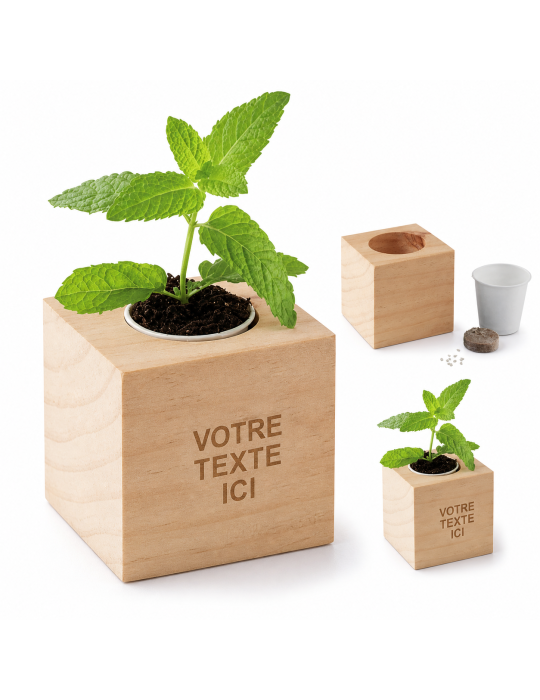 Pot en Bois Menthe Personnalisé Objets Publicitaires