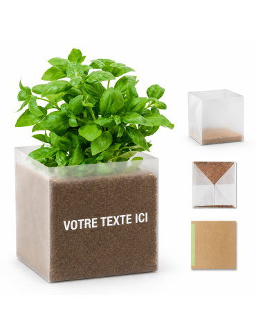 Substrat avec Graines de Basilic - Pratique pour Jardiniers 2