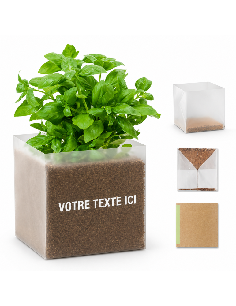 Substrat avec Graines de Basilic - Pratique pour Jardiniers