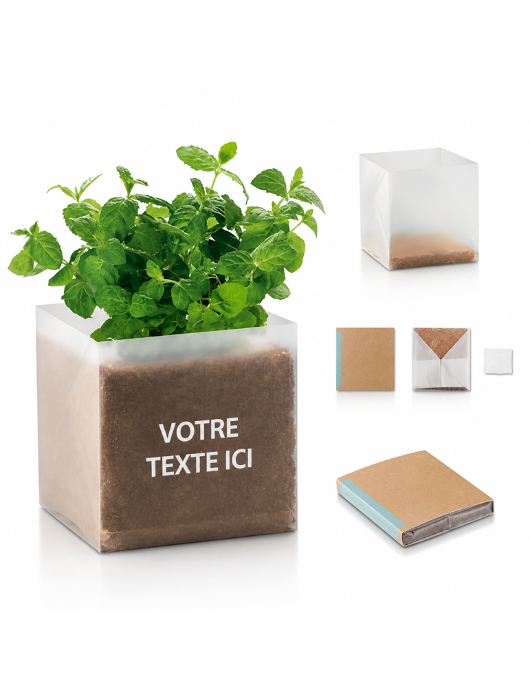 Substrat avec Graines de Menthe Personnalisé - Pratique pas cher