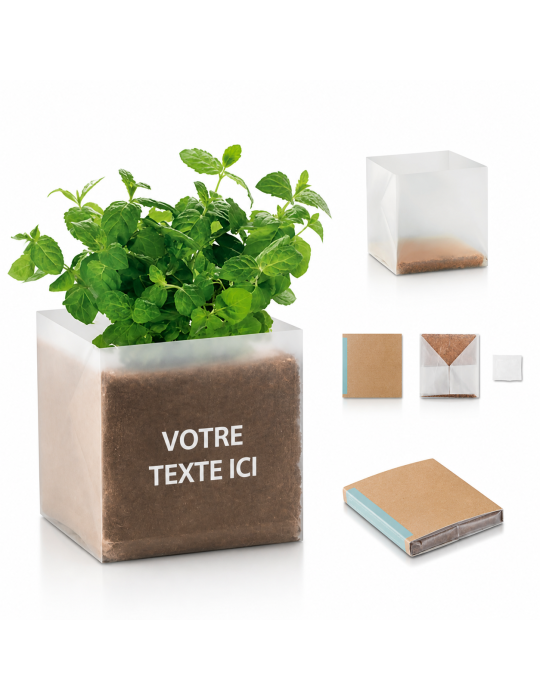 Substrat avec Graines de Menthe Personnalisé - Pratique pas cher