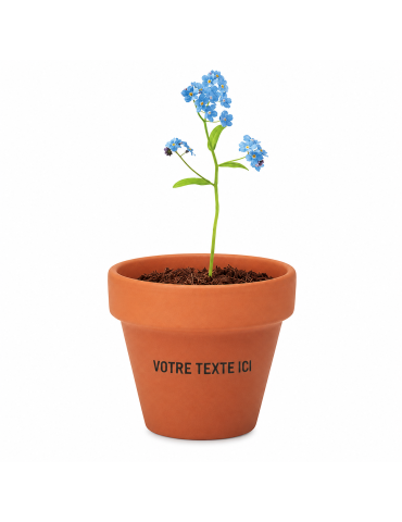 Pot myosotis  et personnalisé | Objets publicitaires 2