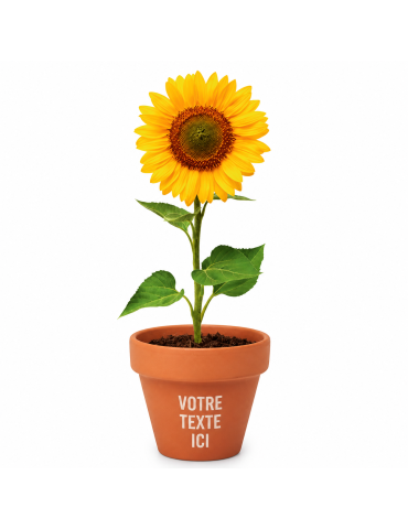 Pot graines de tournesol  et personnalisé | Cadeaux s 2